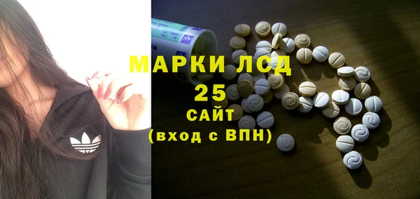 ГАЛЛЮЦИНОГЕННЫЕ ГРИБЫ Арсеньев