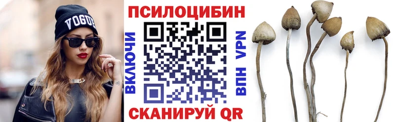 OMG ONION  Ленинск-Кузнецкий  Псилоцибиновые грибы GOLDEN TEACHER 